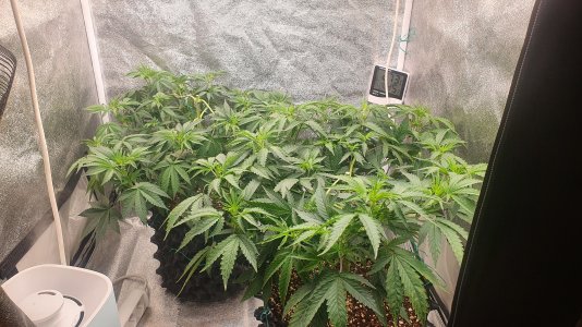 20221011_223521.jpg 20221011_223521.jpg