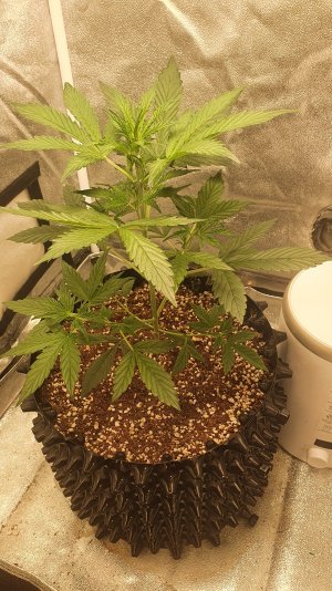 20221013_103348.jpg 20221013_103348.jpg