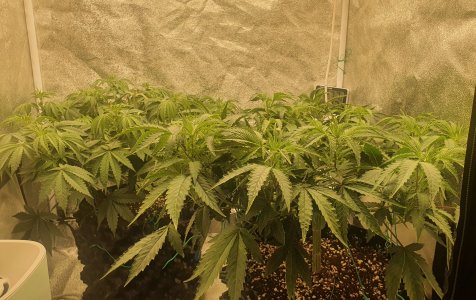 20221013_204317.jpg 20221013_204317.jpg