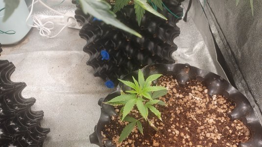 20221014_102936.jpg 20221014_102936.jpg