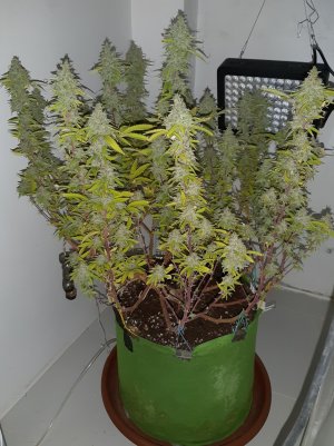 20221014_095058.jpg 20221014_095058.jpg