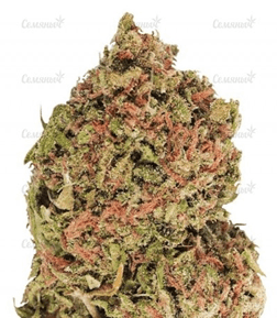 1615824148285.png 1615824148285.png