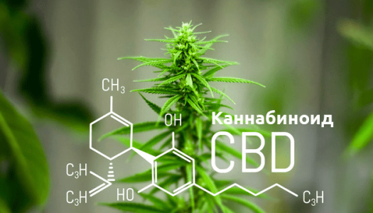 1616334231797.png 1616334231797.png