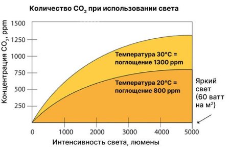 Сколько СО2 нужно конопле