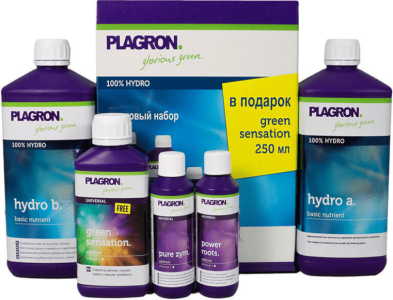 1622389162543.png 1622389162543.png