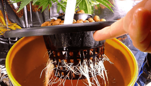 1622999595759.png 1622999595759.png