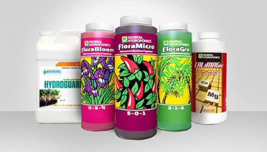 1622999809635.png 1622999809635.png