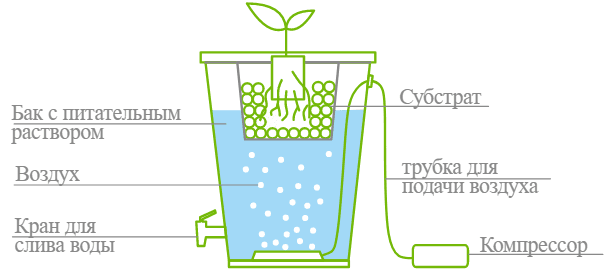 1622999902459.png 1622999902459.png