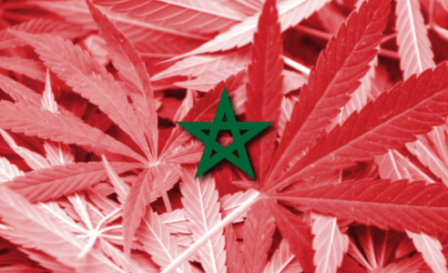 1624968253280.png 1624968253280.png