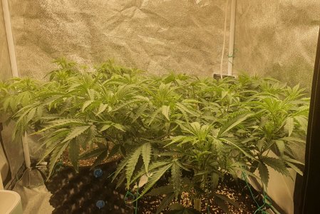 20221016_013146.jpg 20221016_013146.jpg