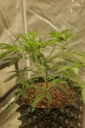 20221016_013553.jpg 20221016_013553.jpg