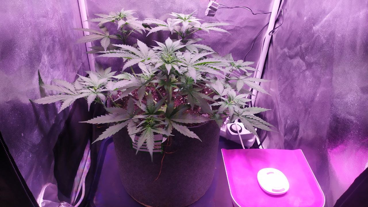 photo_2022-10-15_17-22-11 (2).jpg photo_2022-10-15_17-22-11 (2).jpg