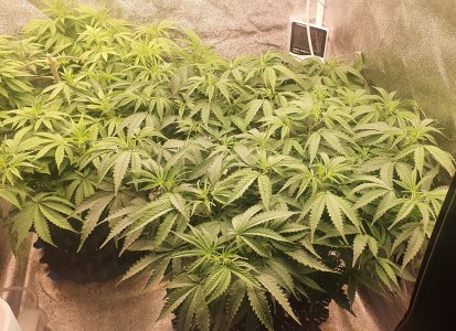 20221019_022357.jpg 20221019_022357.jpg