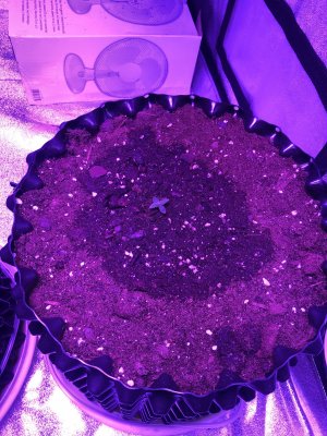 IMG_6748.JPG IMG_6748.JPG