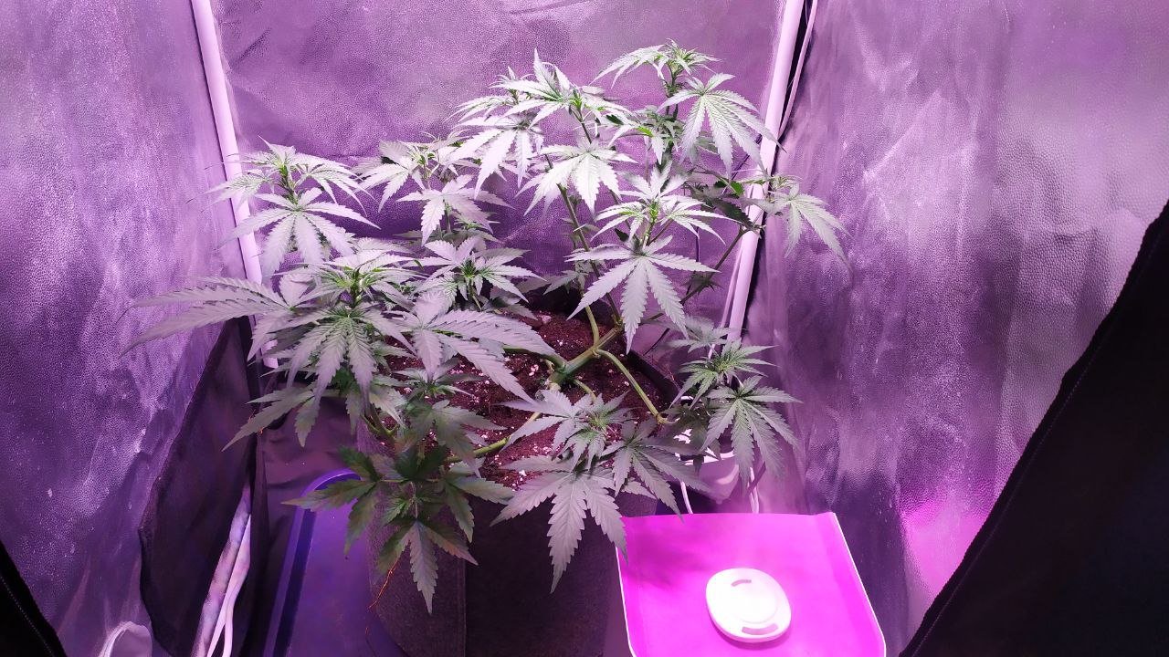 photo_2022-10-20_20-37-37.jpg photo_2022-10-20_20-37-37.jpg