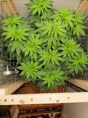 IMG_20221021_152125.jpg IMG_20221021_152125.jpg