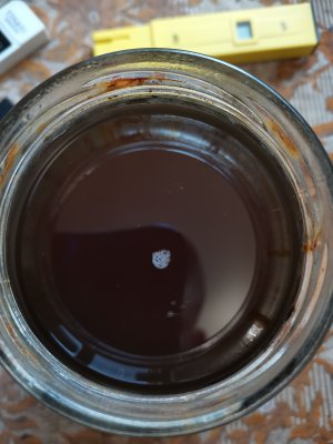 IMG_20221021_153045.jpg IMG_20221021_153045.jpg