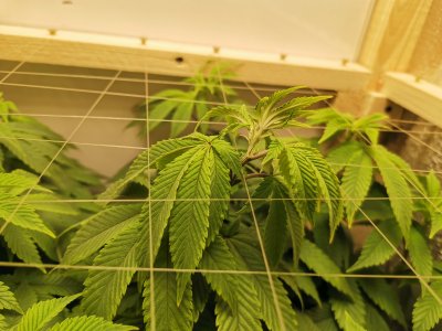 IMG_20221022_082313.jpg IMG_20221022_082313.jpg