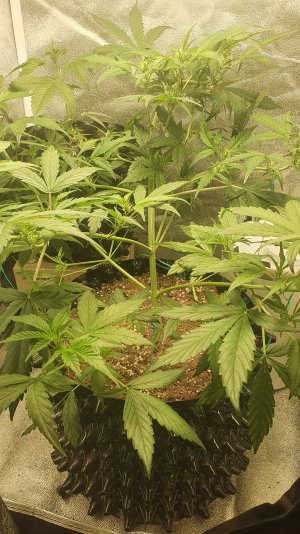 20221022_105343.jpg 20221022_105343.jpg