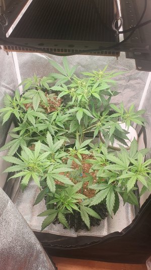 20221022_105339.jpg 20221022_105339.jpg