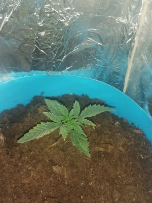 IMG_20221027_204211.jpg IMG_20221027_204211.jpg