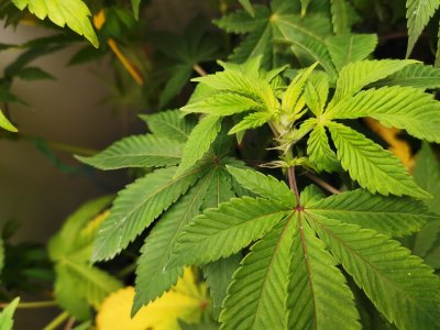 IMG_20221029_163324.jpg IMG_20221029_163324.jpg