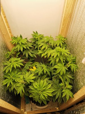 IMG_20221029_161127.jpg IMG_20221029_161127.jpg