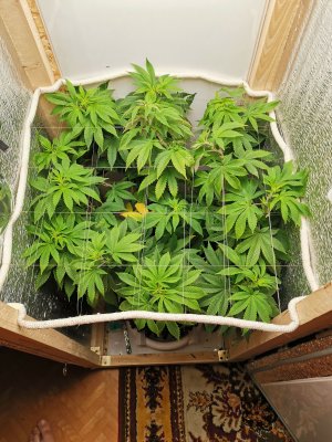 IMG_20221029_165547.jpg IMG_20221029_165547.jpg