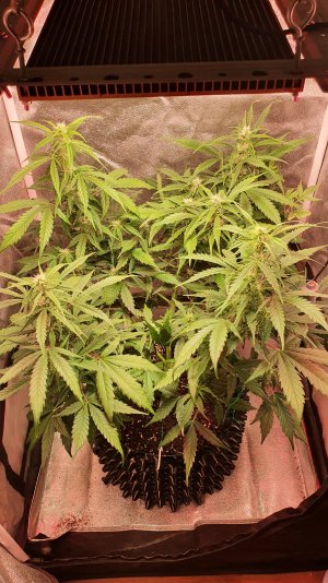 20221030_213529.jpg 20221030_213529.jpg