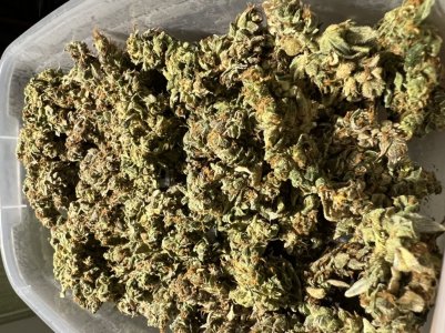 A2043962-5DE5-404D-BB99-F95E967E2543.jpeg A2043962-5DE5-404D-BB99-F95E967E2543.jpeg