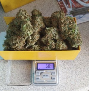 IMG_20221031_123906.jpg IMG_20221031_123906.jpg