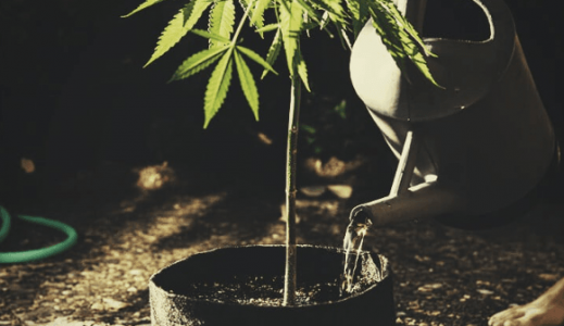 1667248238489.png 1667248238489.png