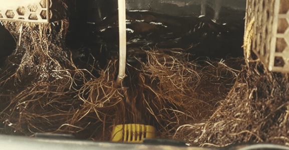 1667248398148.png 1667248398148.png