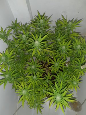 20221101_094101.jpg 20221101_094101.jpg