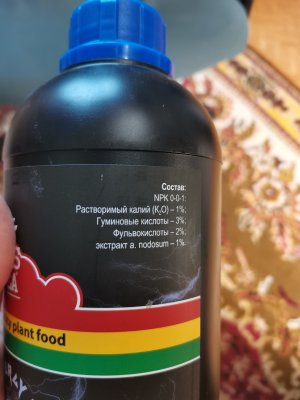 IMG_20221028_121340.jpg IMG_20221028_121340.jpg