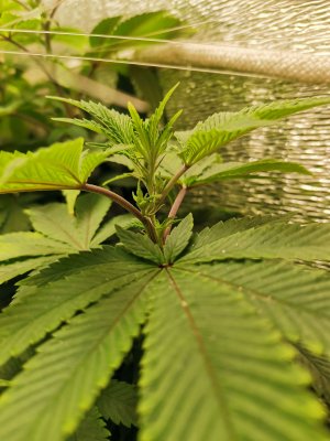 IMG_20221103_205001.jpg IMG_20221103_205001.jpg