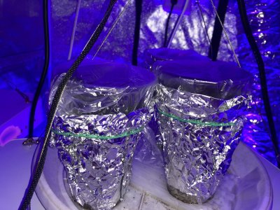 3D84DF00-6E67-418D-82FB-32D067860940.jpeg 3D84DF00-6E67-418D-82FB-32D067860940.jpeg