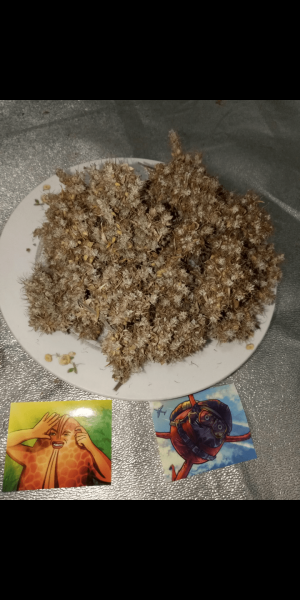 Screenshot_20221104-130916.png Screenshot_20221104-130916.png