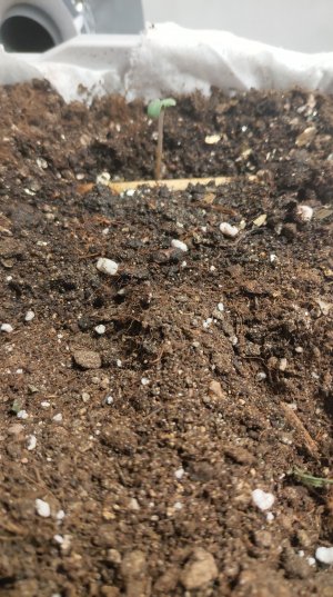 P21104-163559.jpg P21104-163559.jpg