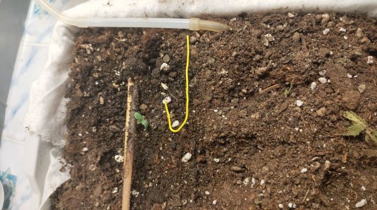 P21104-163703.jpg P21104-163703.jpg