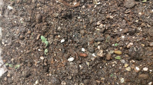 P21104-163911.jpg P21104-163911.jpg