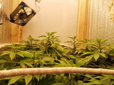 IMG_20221104_182246.jpg IMG_20221104_182246.jpg