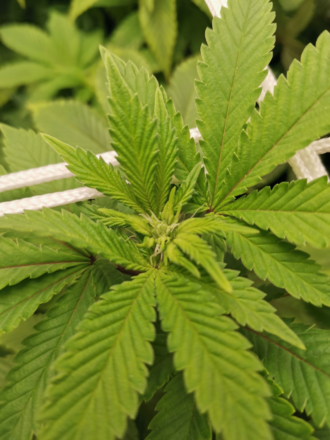 IMG_20221107_131101.jpg IMG_20221107_131101.jpg