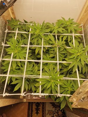 IMG_20221107_131025.jpg IMG_20221107_131025.jpg