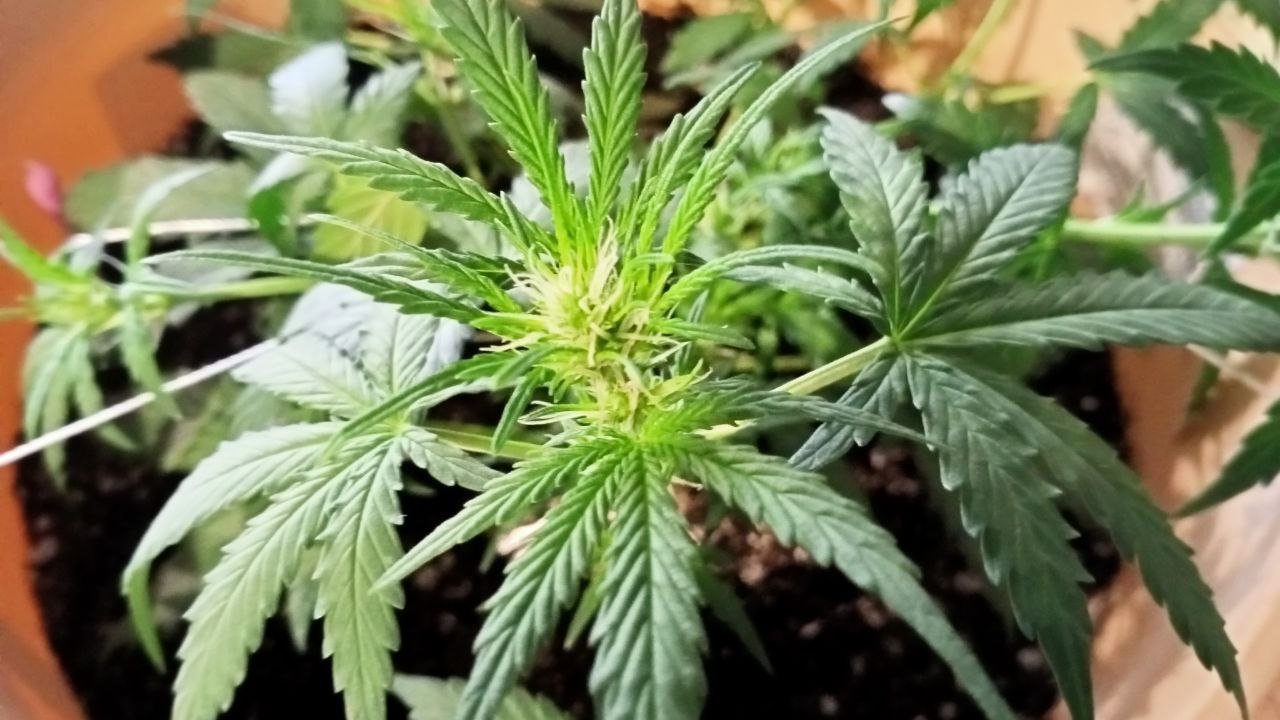 photo_2022-11-08_12-53-04 (2).jpg photo_2022-11-08_12-53-04 (2).jpg