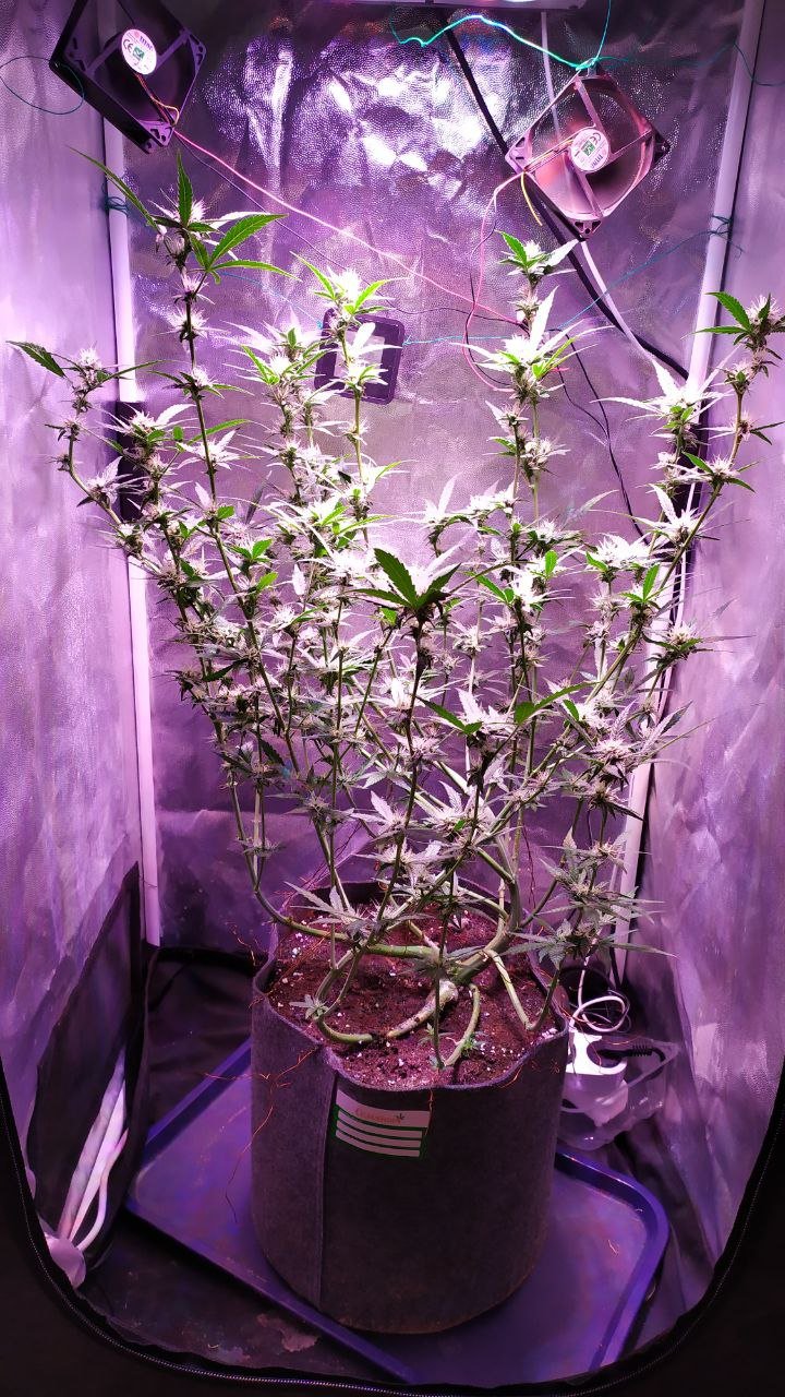 photo_2022-11-09_14-40-31.jpg photo_2022-11-09_14-40-31.jpg