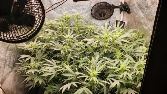 20221109_195924.jpg 20221109_195924.jpg