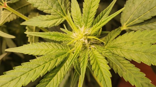 20221109_195929.jpg 20221109_195929.jpg