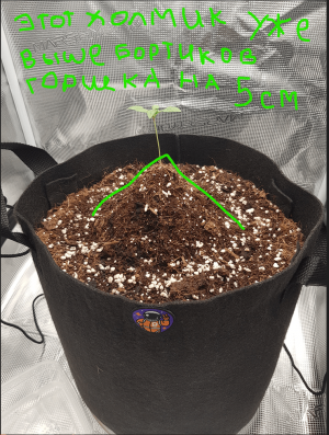 Снимок экрана 2022-11-10 105840.png Снимок экрана 2022-11-10 105840.png