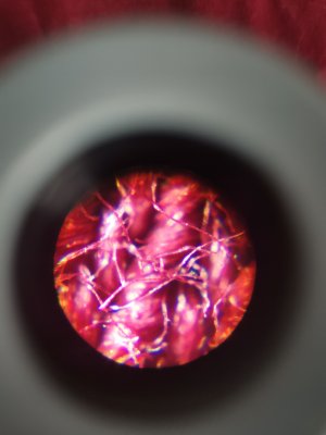 IMG_20221112_095136.jpg IMG_20221112_095136.jpg